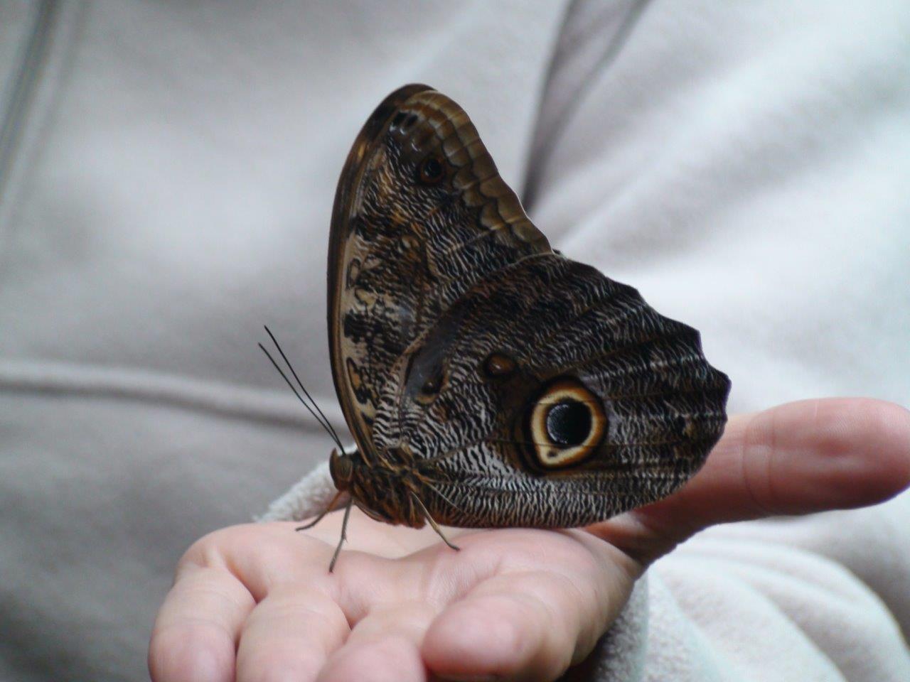 dsc00415